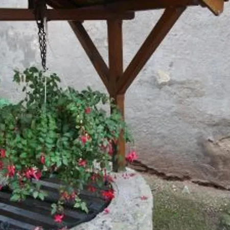 度假居 Maison De Village 6 Pers Avec Salle De Jeux, Proche Nature Et Cristalleries De Baccarat - Fr-1-589-59