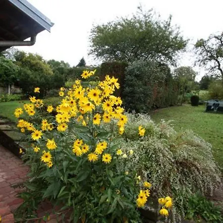 Maison De Village 6 Pers Avec Salle De Jeux, Proche Nature Et Cristalleries De Baccarat - Fr-1-589-59 度假居 *