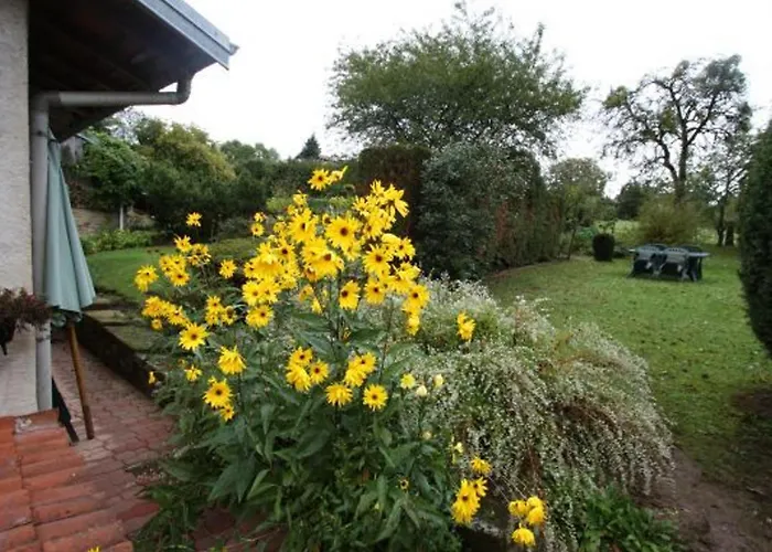 Maison De Village 6 Pers Avec Salle De Jeux, Proche Nature Et Cristalleries De Baccarat - Fr-1-589-59 Prázdninový dům *